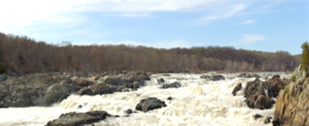 potomatc river great falls maryland internet marketing company